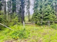 Arrow Creek Vacant Land for sale:    (Listed 2023-06-19)
