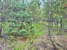 Arrow Creek Vacant Land for sale:    (Listed 2023-06-19)