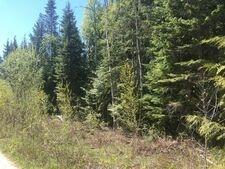Gray Creek Vacant Land for sale:    (Listed 2021-05-25)